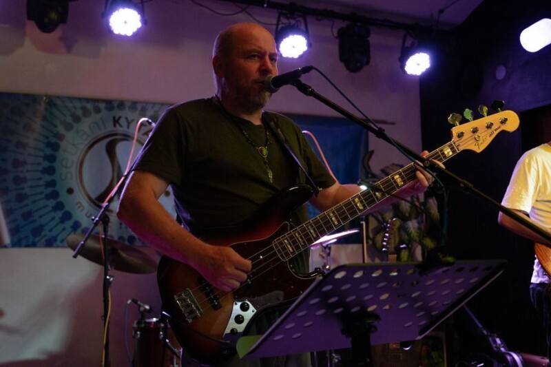 Vladimír Vaclavek